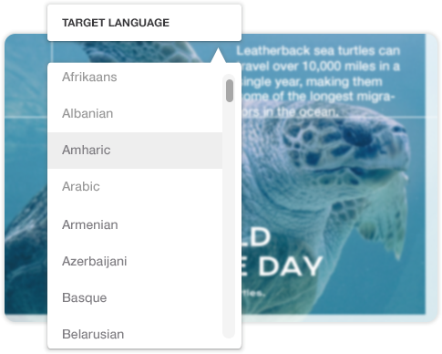 Many languages are provided in the image translator